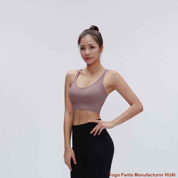 ပါဝါဘရာစီယာ RUXI md1334